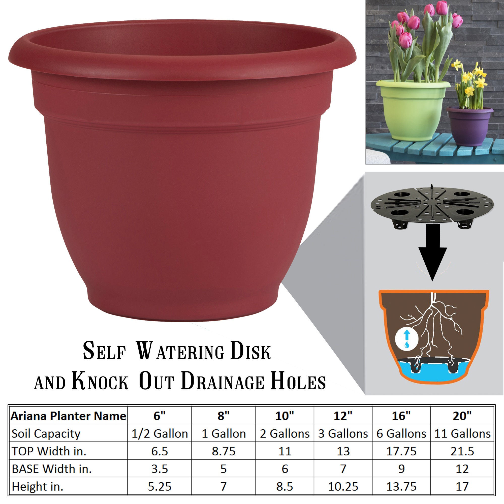 Bloem Ariana Self Watering Planter, 10", Union Red eBay