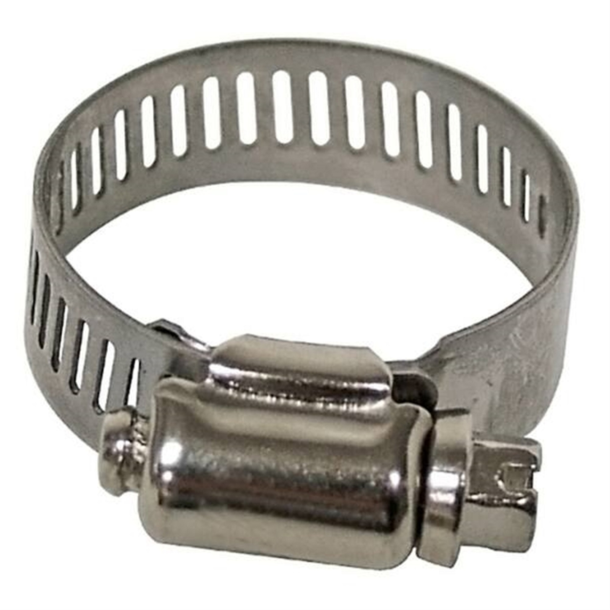 Hose Clamp Ss 1.3125-2""
