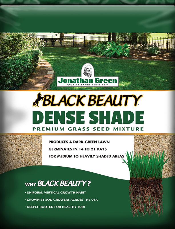 Dense Shade Grs Seed 3#