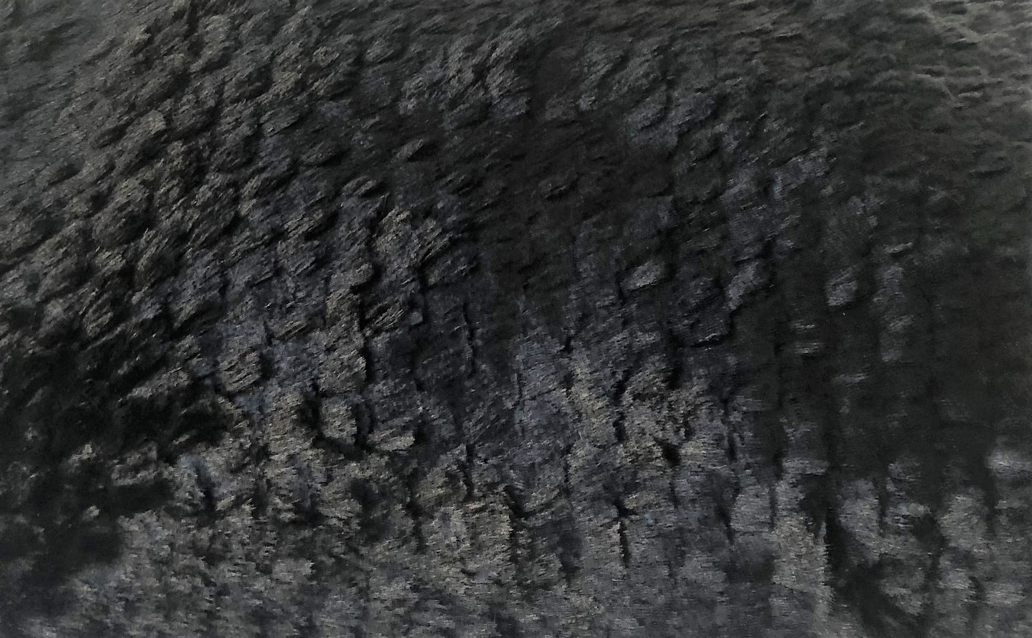 Plutus Black Mink Faux Fur Luxury Throw Throw 36W x 60L